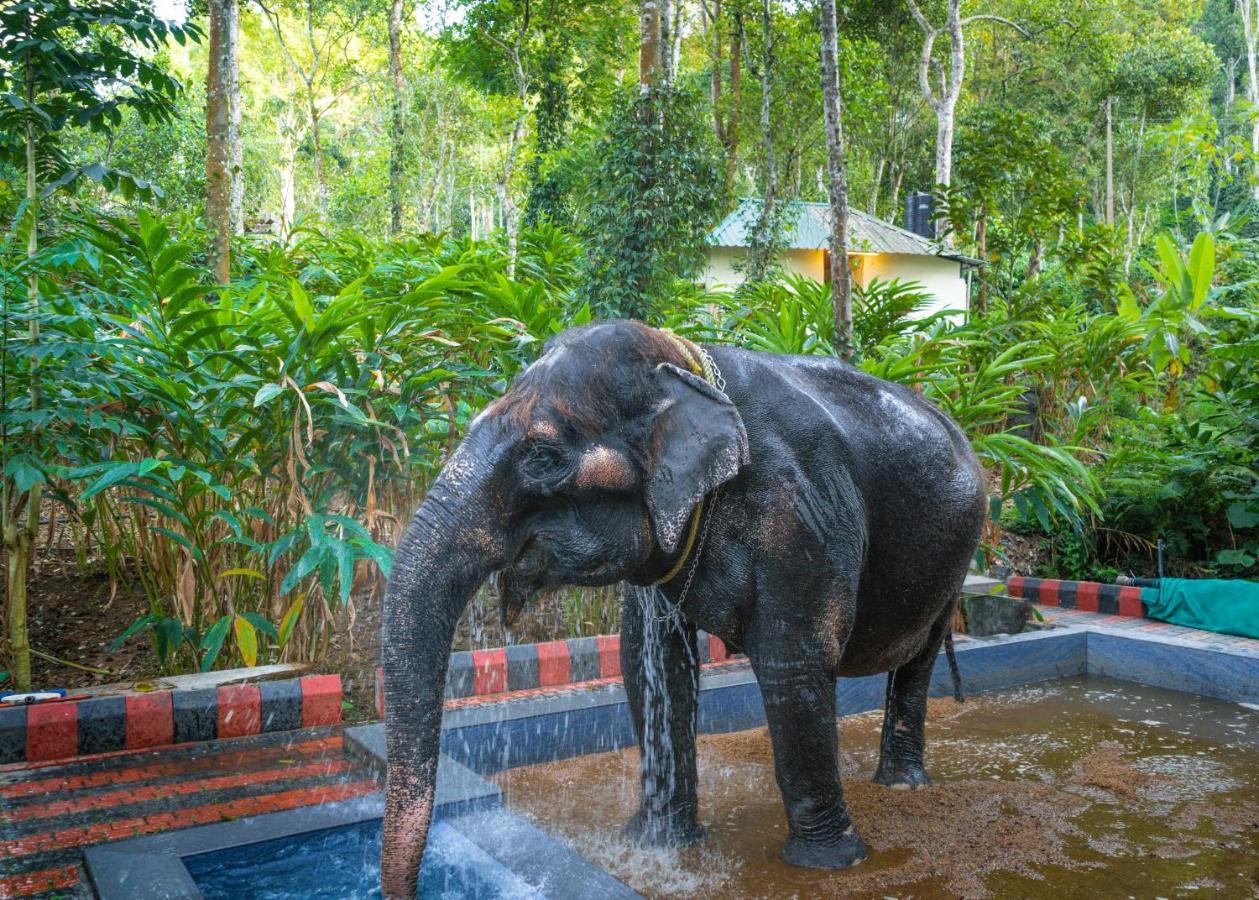 Amritara Shalimar Spice Garden Resort & Spa Thekkady Eksteriør billede